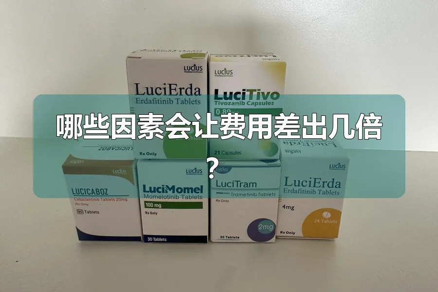 哪些因素会让费用差出几倍？