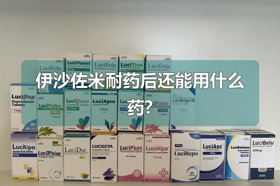 伊沙佐米耐药后还能用什么药?